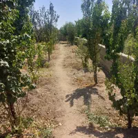 ویلا پاکدشت جمال اباد چهار دیواری|فروش خانه و ویلا|پاکدشت, پاکدشت (مامازند)|دیوار