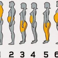 تایلدالاغرشوید