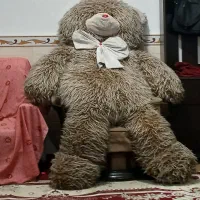 عروسک خرس خیلی بزرگ