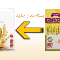 پودر جوانه گندم بین استار|آرایشی، بهداشتی، درمانی|رشت, نیروی دریایی|دیوار