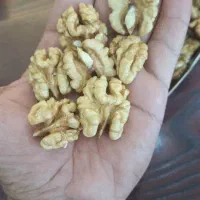 گردو و مغز گردو بلغاری درجه یک|خوردنی و آشامیدنی|مشکیندشت, |دیوار