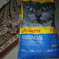 فروش ۹ کیسه غذای گربه