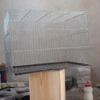 قفس ۵۲ قناری باکفی شارژ کردیم قیمت ۴۰۰۰۰۰ تومن