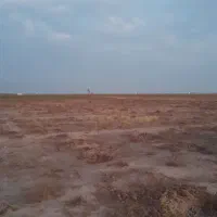 یک قطعه زمین به مساحت ۱۰۰۰