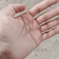 معاوضه اتاق ماشین و زین دهن