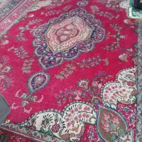 فروش فرش دستی ۱۲ متری یک جفت|فرش|مرند, |دیوار