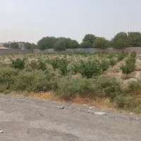 تهاتر-یا-فروش-زمین-کاسبی