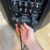 اسپیکر حرفه‌ای (باند) CHAIRMAN|سیستم صوتی خانگی|کرمان, |دیوار