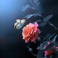 مشاوره زناشویی و خانواده