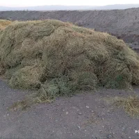 یونجه خشک|خدمات باغبانی و درختکاری|سرداران, |دیوار