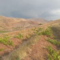 باغ انگور با حق آب ازچشمه شخصی|فروش دفتر صنعتی، کشاورزی، تجاری|ابهر, |دیوار