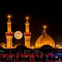 مجری مستقیم تور کربلا زمینی هوایی