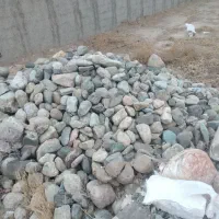 خرید و فروش کود حیوانی|خدمات باغبانی و درختکاری|نظرآباد, نجم آباد|دیوار