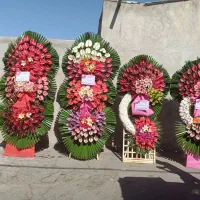 کد55 تبریک تاج گل جشنی ختم دسته افتتاحیه|گل و گیاه طبیعی|تهران, نمایشگاه بین المللی|دیوار