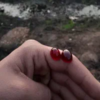 جفت کهنه های یمن|کلکسیون اشیاء عتیقه|اهواز, کوی صادقیه|دیوار