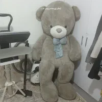 خرس ولنتاین