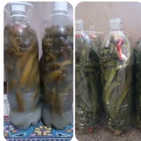 خیارشورتردوخوشمزه