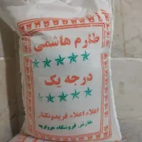 طارم هاشمی