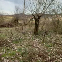 230متر کاربری مسکونی خوش قواره گیلان شفت|فروش زمین و ملک کلنگی|احمدسرگوراب, |دیوار