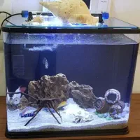 اکواریوم شرکتی شیشه خم