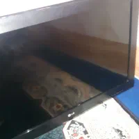 تلوزیون ال جی|تلویزیون و پروژکتور|قم, شهر قائم|دیوار