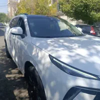 فروش لاماری ایما