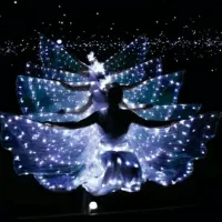 آموزش تانگو عروس داماد،ساقدوش،بال فرشته ،مجری تولد