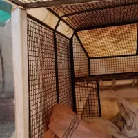 تاق پراید وانت|عمده‌فروشی|بهبهان, |دیوار