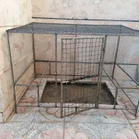 قفس مرغ وخروس یا کبوتر|لوازم جانبی حیوانات|شاهین‌شهر, گرگاب|دیوار