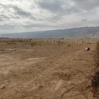 فروش زمین با مجوز گلخانه (باغشهری)|فروش دفتر صنعتی، کشاورزی، تجاری|شیراز, بید زرد|دیوار