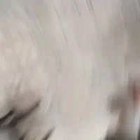 یخچال فریزر الکترو استیل صندوقی چهار درب|یخچال و فریزر|مشهد, شهرک مهرگان|دیوار