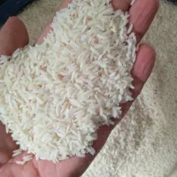 طارم محلی درجه یک