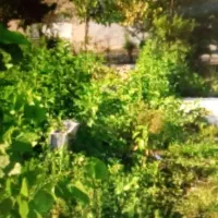 خریدارزمین.     مسکونی.۱۰۰۰متری