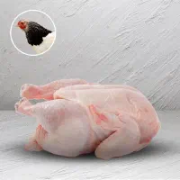 فروشنده مرغ فروشی