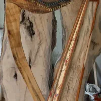 ساز چنگ(هارپ) سلتیک برند نقابی|گیتار، بیس، امپلیفایر|گرگان, |دیوار