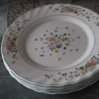 پیش دستی آرکوپال (آکبند)