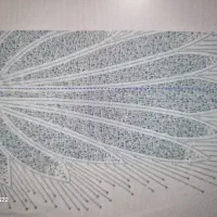 نگین چین ماهر|استخدام هنری و رسانه|اسلامشهر, مظفریه|دیوار