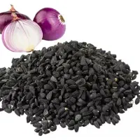 بذر پیاز محلی روز کوتاه