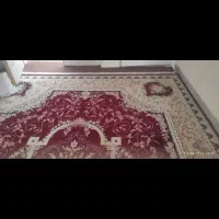 فرش دوازده متری|فرش|شیراز, رکن‌آباد|دیوار