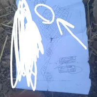 فروش فوری یک قطعه زمین  در دیشموک|فروش زمین و ملک کلنگی|دیشموک, |دیوار