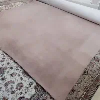 پالاز موکت دسته دوم|موکت|شیراز, شاهجیان|دیوار