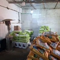 کود ارگانیک کروا، افزایش تضمینی تناژ و کیفیت محصول