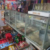 استند شیشه ای تخمه