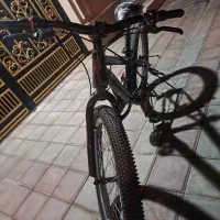 دوچرخه ۲۴|دوچرخه، اسکیت، اسکوتر|کاکی, |دیوار
