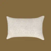 بالشت طبی