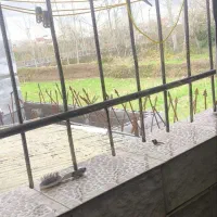 فروش-تک-واحدی115متری