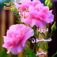 استخدام ویزیتورخانم