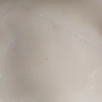 سوله اجاره ای