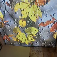 سقف کشسان جلوهای مدرن برای هر فضا . طراحی و نصب|خدمات پیشه و مهارت|همدان, |دیوار