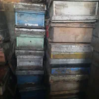 فروش ۲۰ عدد کندو زنبور عسل خالی با استراکتور ۴ قاب